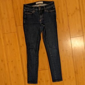 GAP True Skinny Ankle Jeans 25R